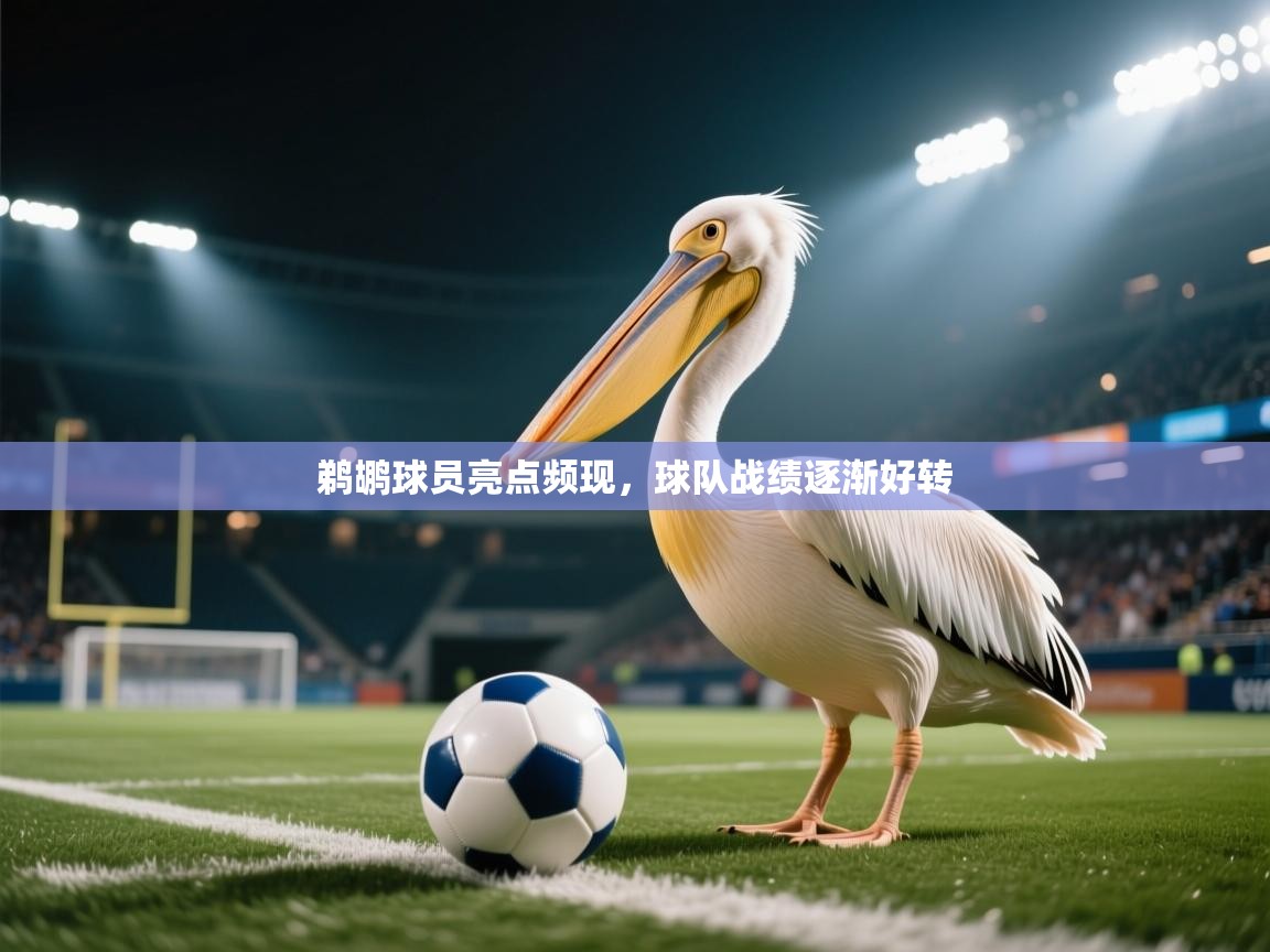 鹈鹕球员亮点频现，球队战绩逐渐好转  第2张